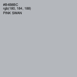 #B4B8BC - Pink Swan Color Image